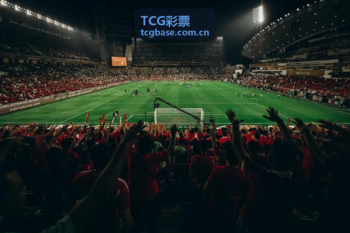 TCG彩票平台评测专业分析报告